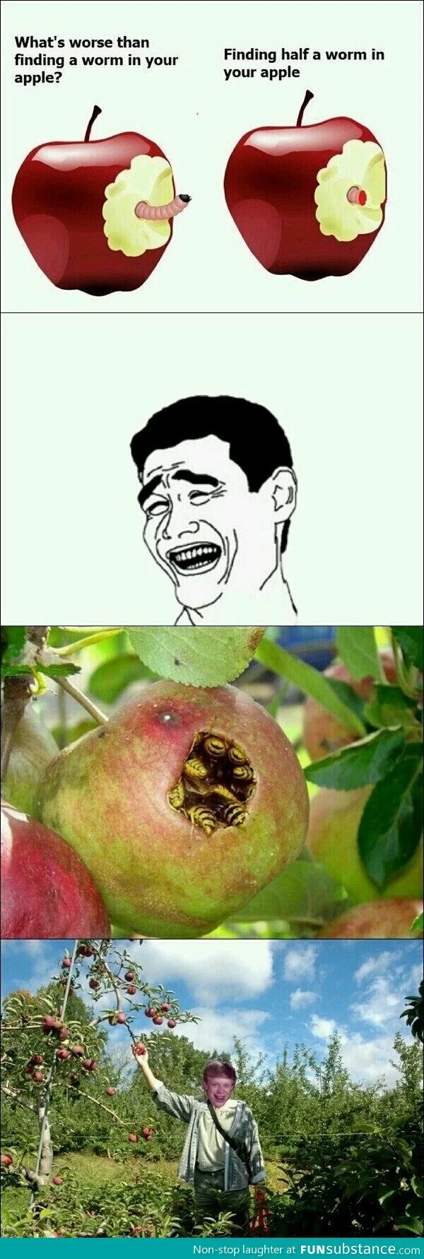 Прикол яблоко фото Bad luck Brian apple Bad luck brian, Bad luck brian memes, Funny memes