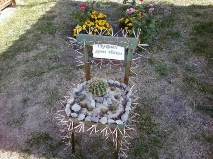 Прикольная дача своими руками the cactus in the flower bed Кактус, Клумбы, Поделки