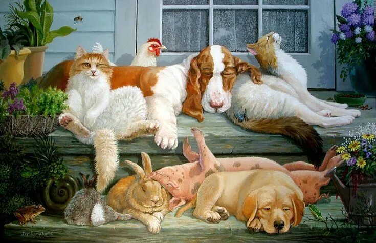 Прикольная картинка домашние животные Joy Campbell Dog cat, Animal art, Painting