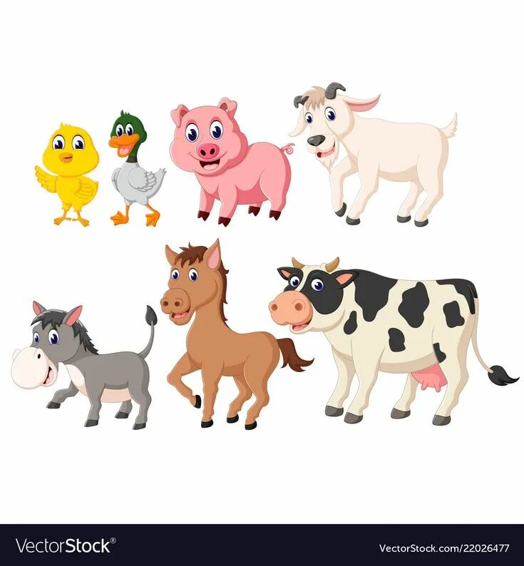 Прикольная картинка домашние животные Collection of the livestock animals vector image on VectorStock Illustration, An