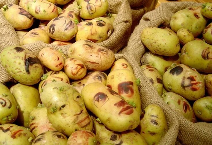 Прикольная картошка фото GIORGINA CHOUEIRI - highlike Ephemeral art, Potato face, Potatoes