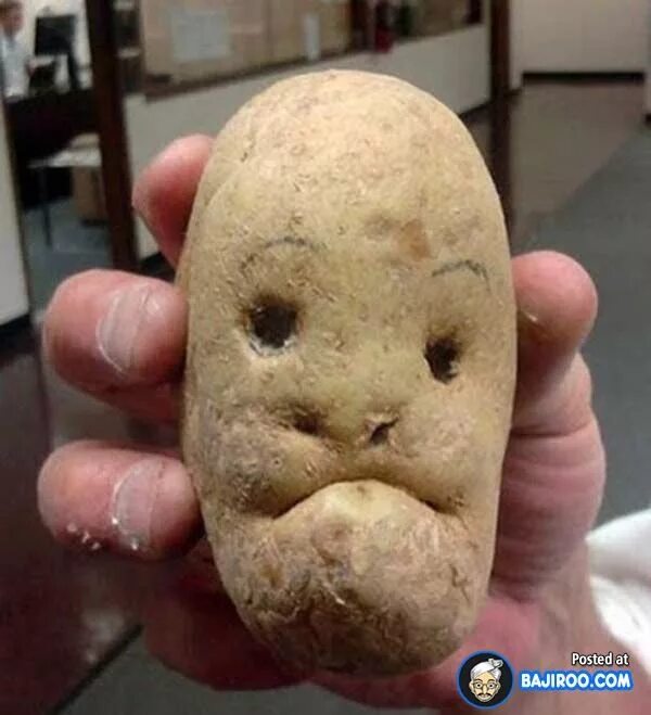 Прикольная картошка фото Funny Potato That May Bring A Smile On Your Boring Face Funny fruit, Funny veget