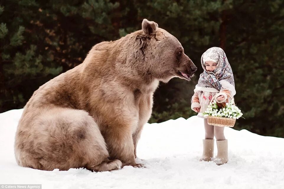 Прикольная подпись к фото с медведем Youngsters pose with grizzly bear in the forest in Moscow Daily Mail Online