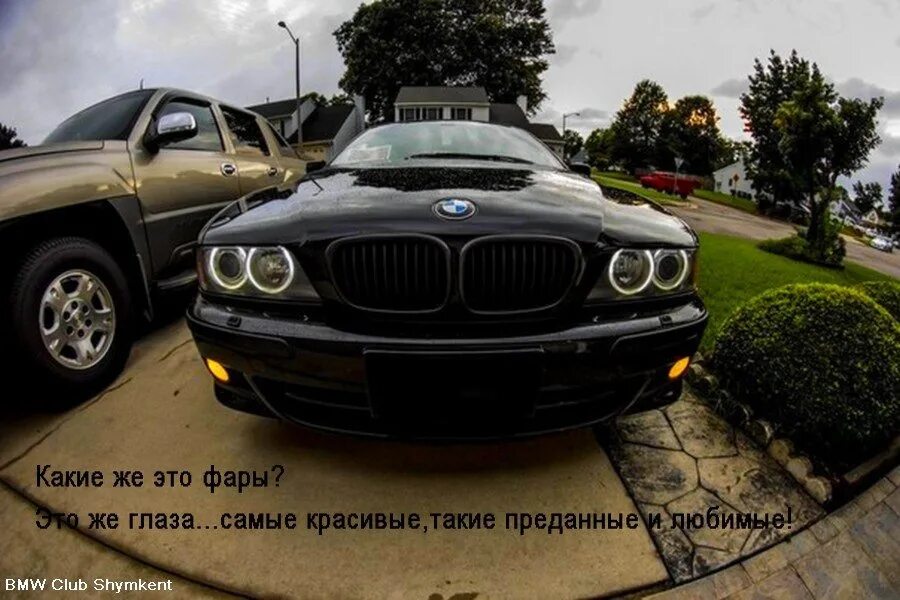 Прикольное фото бмв Прикольные фотки - BMW 5 series (E39), 2 л, 1999 года прикол DRIVE2