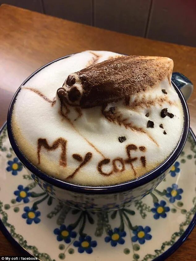 Прикольное фото с кофе Would YOU drink this cockroach coffee? Weird food, Gross food, Food humor