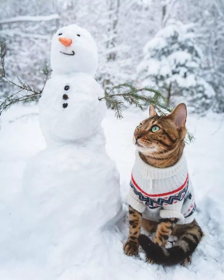 Прикольное фото зимой Me & Olaf the snowman ⛄ . . #lensbible #theimaged #modernwild #eclectic_shotz #s