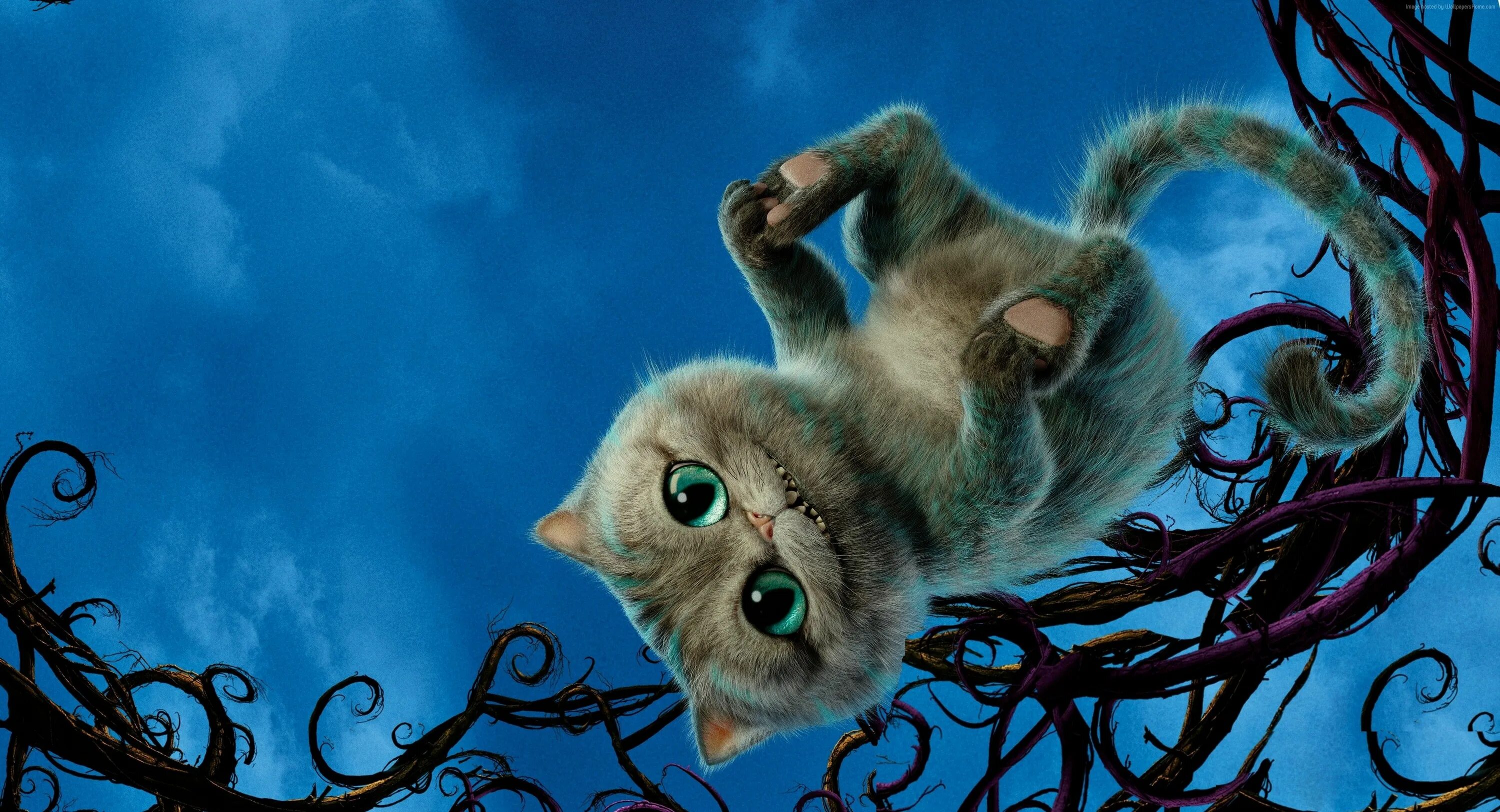 Прикольные фото на обои телефона cheshire cat best movies of 2016 Alice Through the Looking Glass #2K #wallpaper 