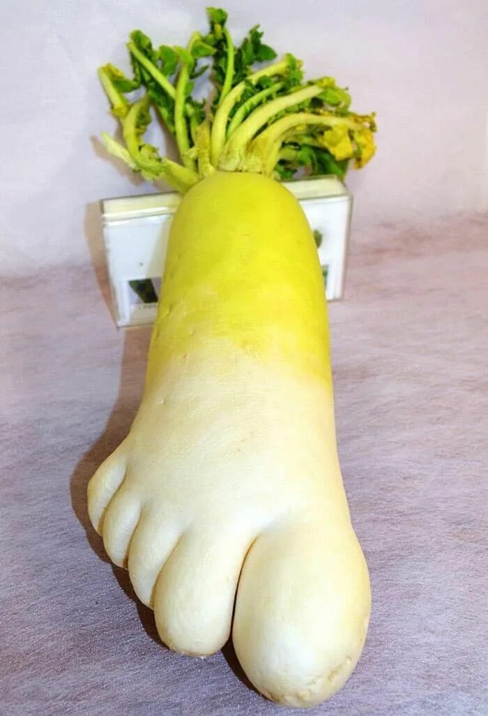 Прикольные фото овощей Weirdly shaped fruits & vegetables that look like something else Funny fruit, We