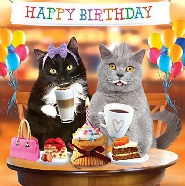 Прикольные фото поздравление Pin on Cards.Screenshots Happy birthday cat, Happy birthday animals, Happy birth