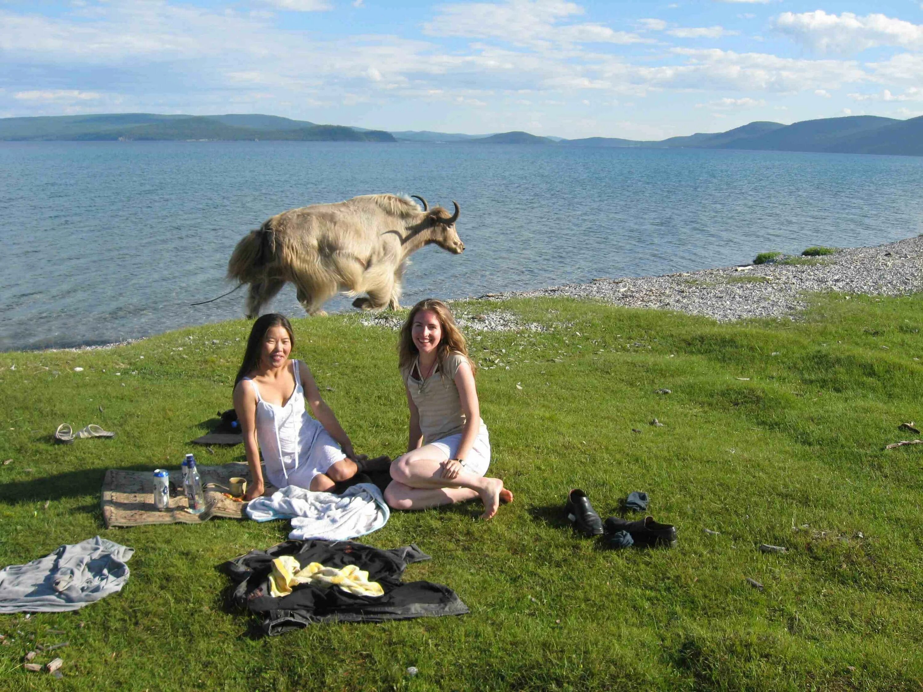 Прикольные фото природа Two girls, one Yak Mongolia Mongolia, Two girls, Animals