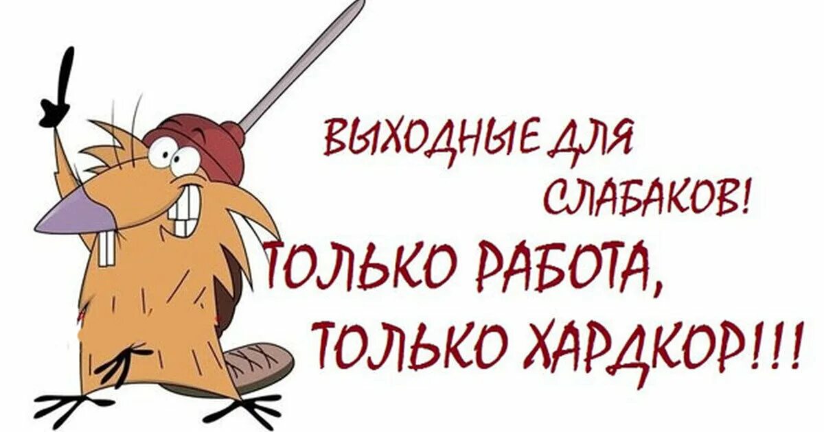 Прикольные фото про работу смешные Как я эволюционировала (деградировала?) из хорошего работника в плохого 1,5 ЭМОЦ