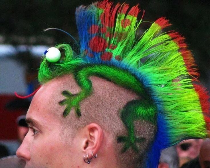 Прикольные кар прическа 16 of the Most Wild Hairstyles Ever (Literally)! Hair humor, Lizard haircut, Wac