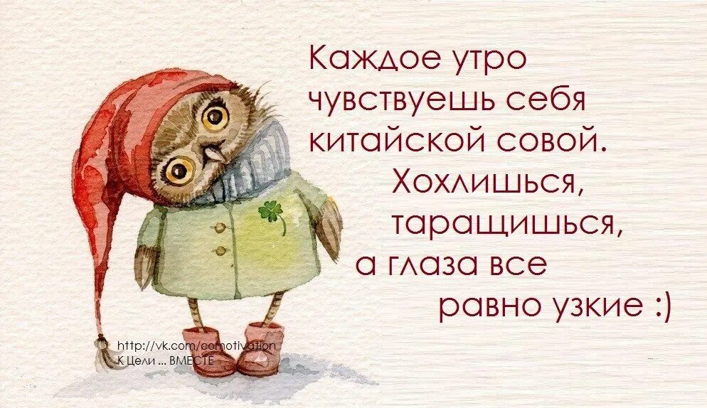 Прикольные картинки про утро и работу День одиннадцатый - движение...таракан! МамЗелишна Дзен