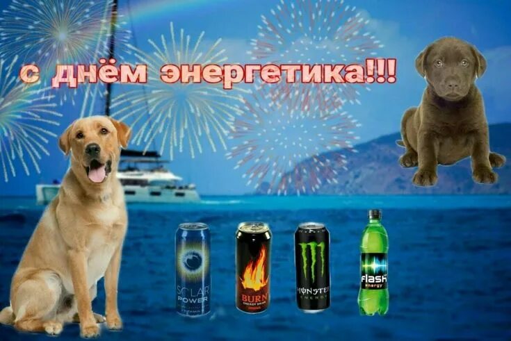 с днем плиты! Cute love memes, Happy memes, Cute memes