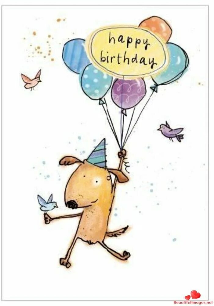 Прикольные картинки с днем рождения пинтерест Pin by Kathy Gaffri on Birthday in 2020 Happy birthday dog, Happy birthday greet