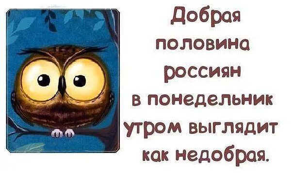 Прикольные картинки с добрым утром понедельника ржачные Картинки дни недели понедельник с добрым утром красивая Картинки, Надписи, Смешн