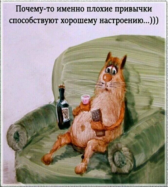 Прикольные картинки с каждым днем Pin on С юмором по жизни... Funny quotes, Life humor, Cat art