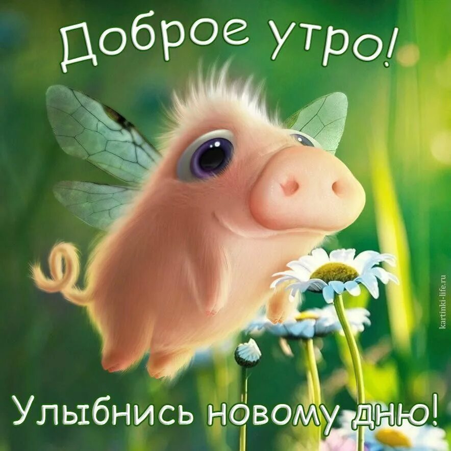 Прикольные картинки с приятным днем Pin by Света Плюта on Доброе утро Animal drawings, Cute animal drawings, Animal 