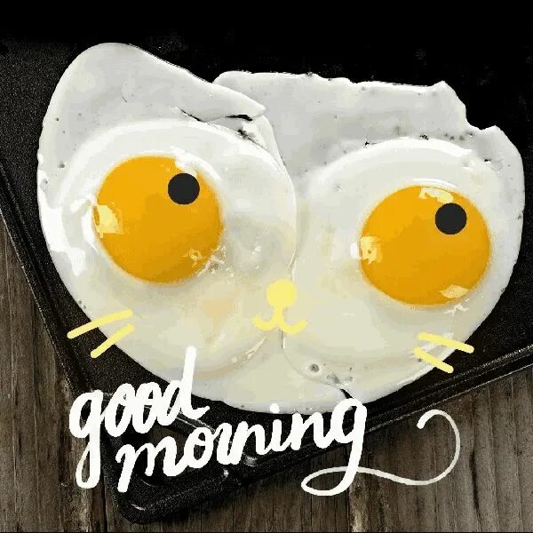 Прикольные картинки утро муж Good Morning Eggs GIF - Good Morning Eggs Breakfast - Discover & Share GIFs Good