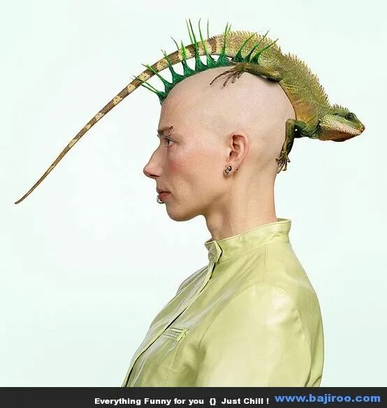 Прикольные прически на короткие волосы Most Funny and Strange People in The World You Never Seen (90 Photos) Crazy hair