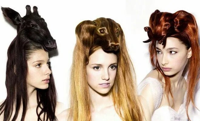 Прикольные прически на средние волосы Creative Animal Hair Style Collections Hair styles, Hair, Weave hairstyles