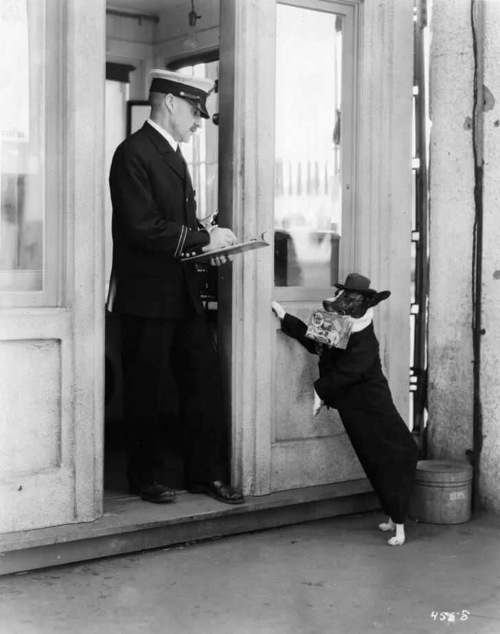 Прикольные ретро фото Vintage Photos of Dogs Being Man's Best Friend