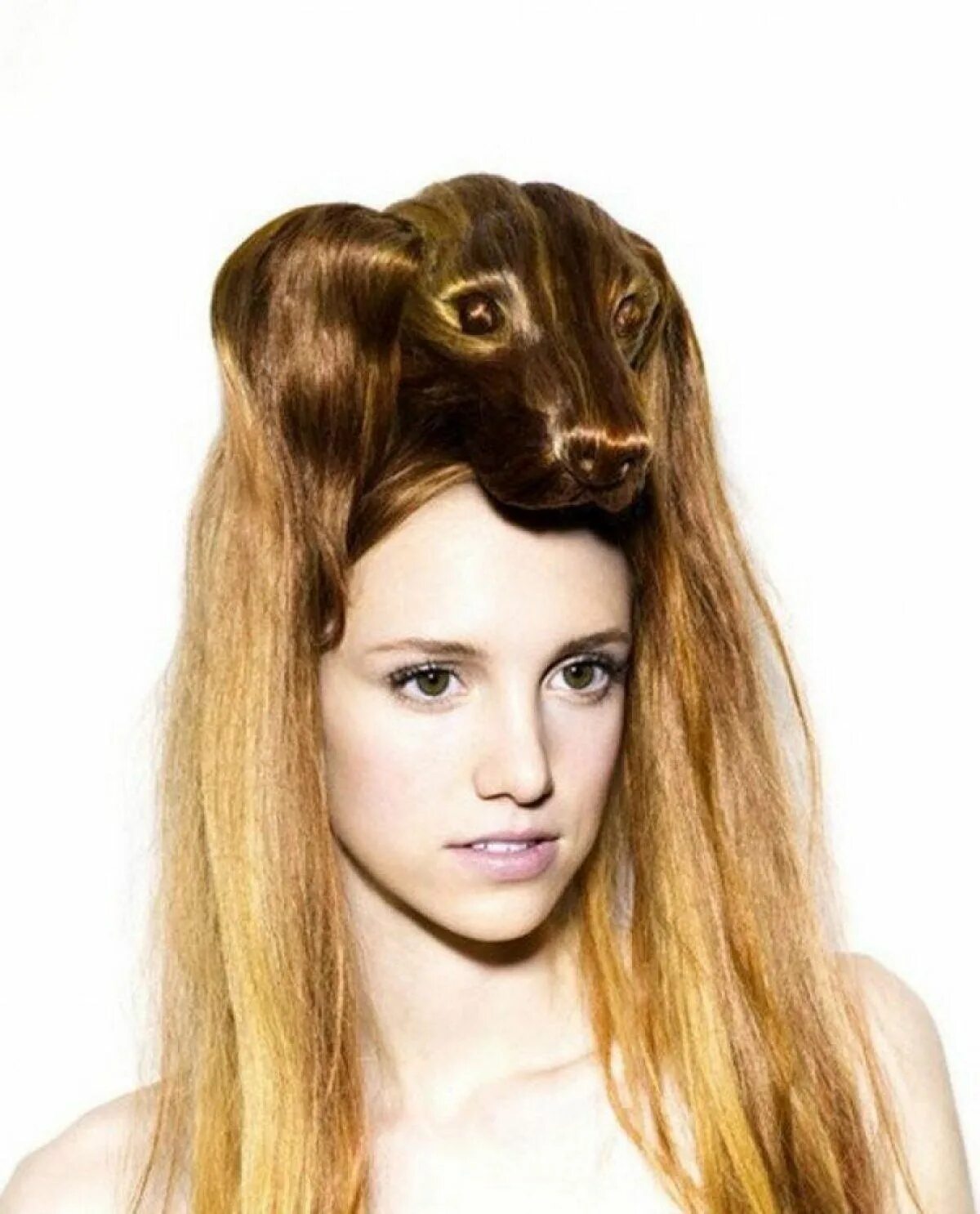 Прикольные стрижки для девушек на длинные волосы Peinado de perro Fancy hairstyles, Cool hairstyles, Womens hairstyles