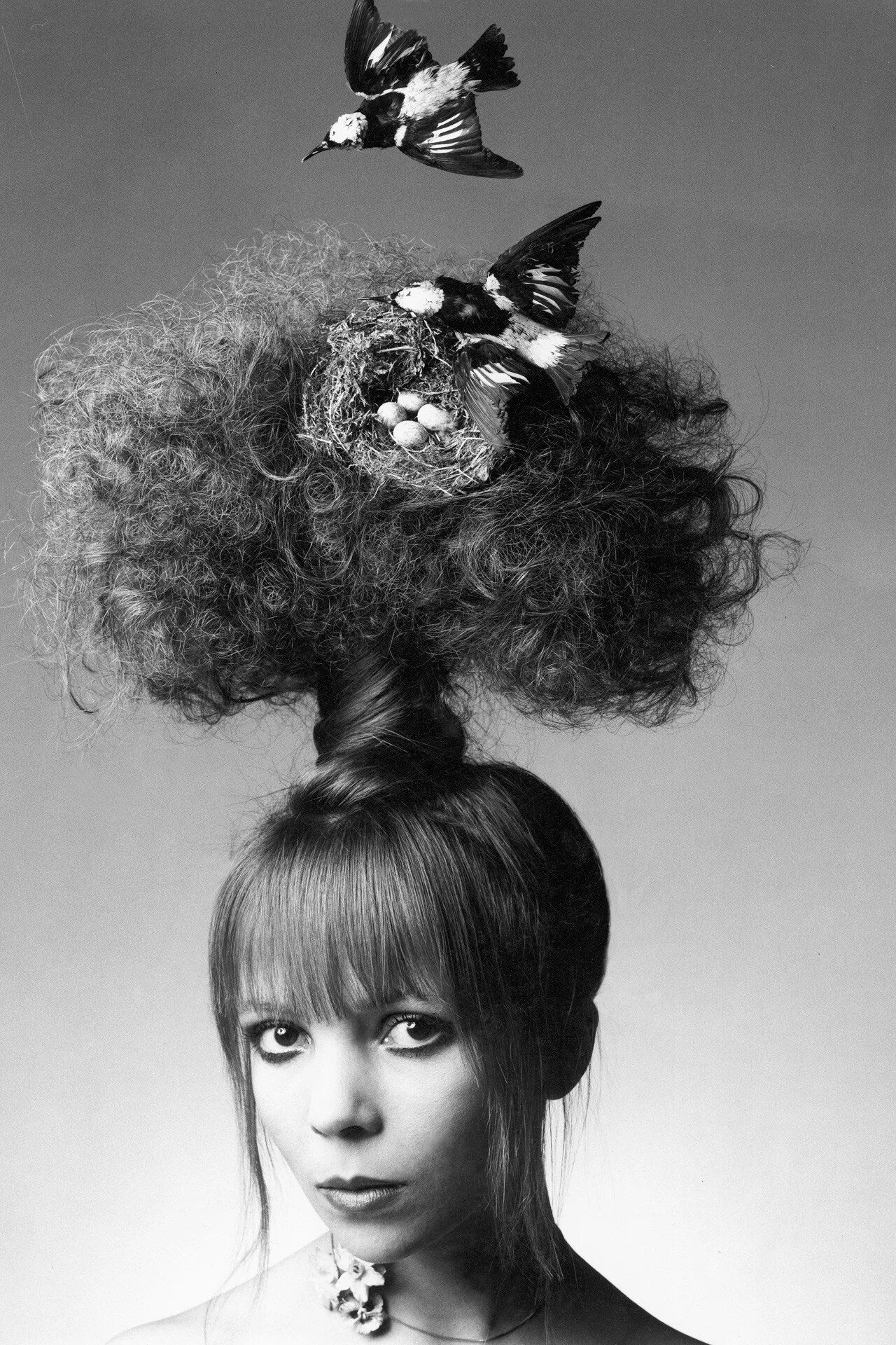 Прикольные стрижки для девушек на средние волосы Suzy Menkes Sixties Model Penelope Tree David Bailey Cambodia British Vogue Brit