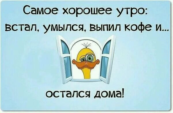 Прикольные веселые юморные картинки доброе утро Пин от пользователя Сергей Е на доске Юмор картинки Вдохновляющие цитаты, Юмор, 