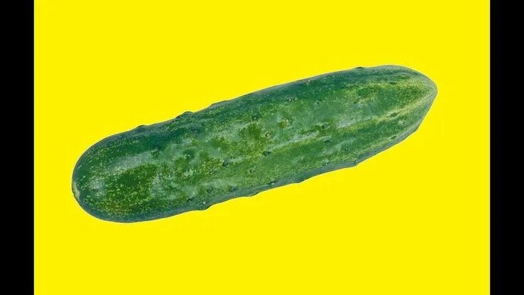 Прикольный огурец фото Смешная реклама #7.Огурец Cucumber, Zucchini