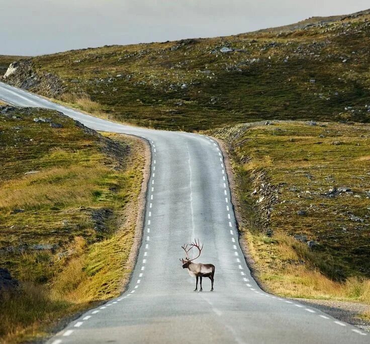 Приколы фото дорог Instagram Beautiful roads, Finnmark, National geographic travel