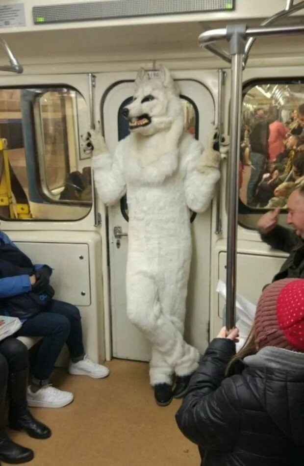 Приколы метро фото 21 People You Don't Want to Sit Next to on the Russian Subway Subway, Meanwhile 