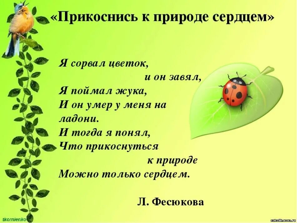 Прикоснись к природе сердцем фото Ручеёк - экологическая акция - Детский сад № 118 г. Тюмени