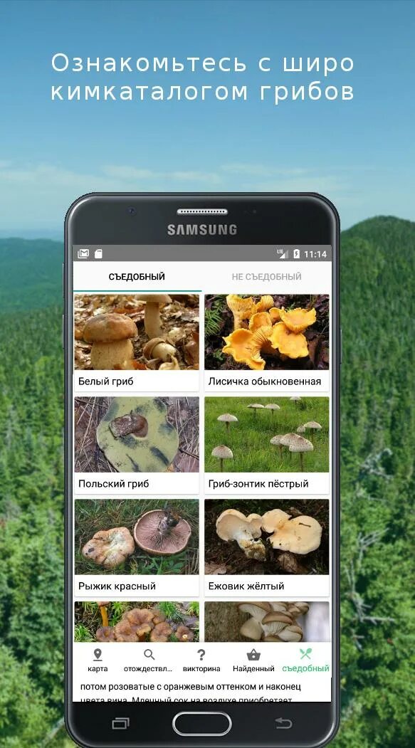 Приложение для распознавания грибов по фото Скачать Mushroom Identify (признать гр APK для Android