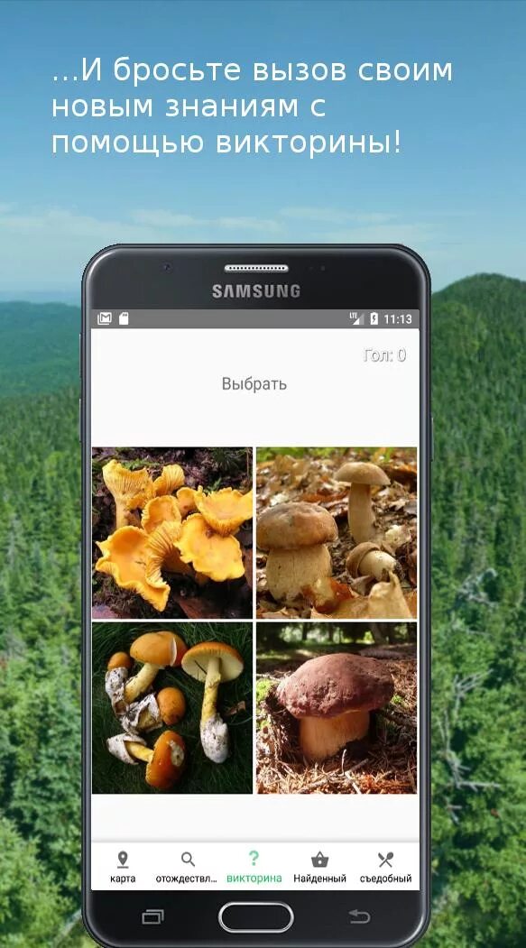 Приложение для распознавания грибов по фото Скачать Mushroom Identify (признать гр APK для Android