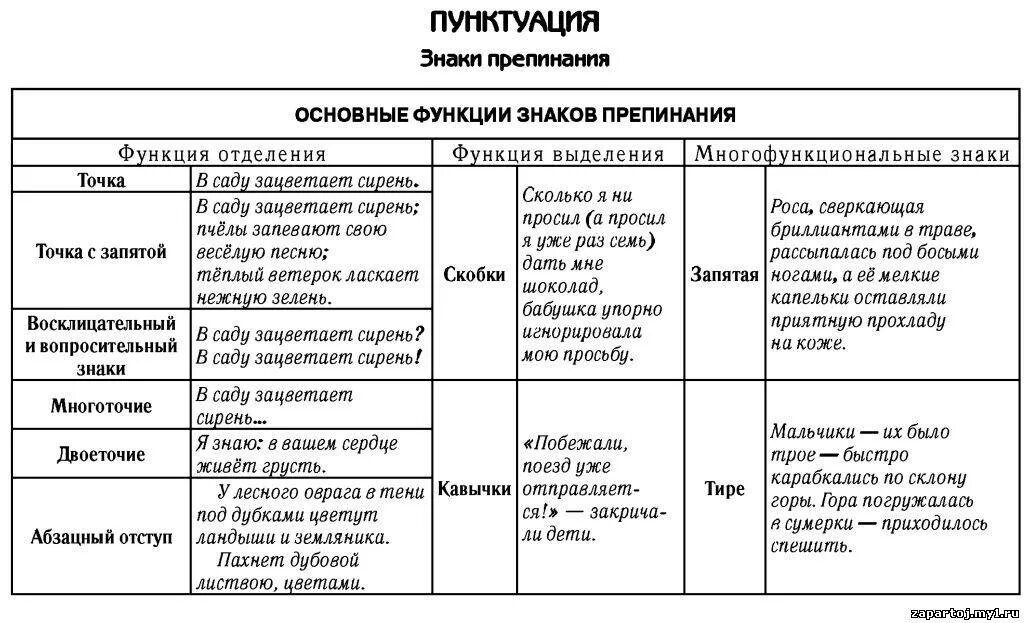 Приложение для расстановки знаков препинания по фото Пунктуация основные правила пунктуации 11 класс