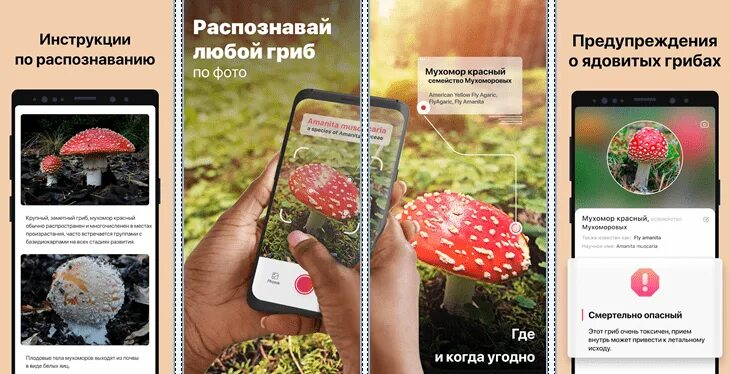 Приложение грибы распознать по фото Picture Mushroom - Mushroom ID v2.9.11 apk Ru/Multi - Скачать apk для Андроид