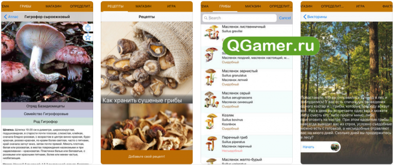Приложение грибы распознать по фото Приложения для грибников на iPhone: лучшее на Айфон