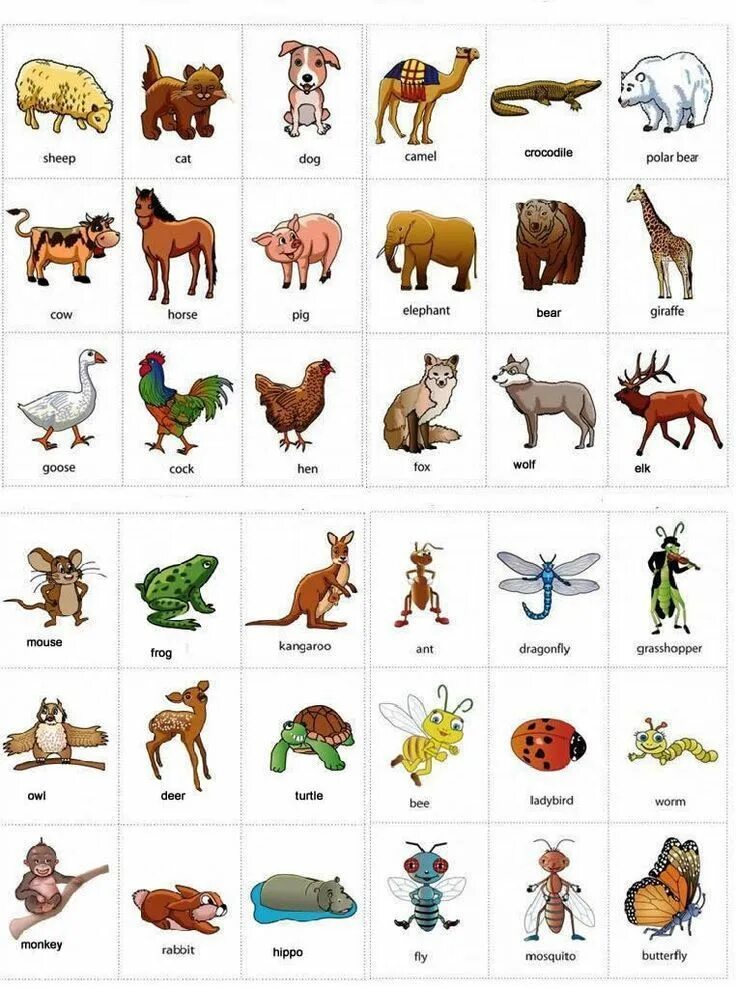 Приложение картинки животных Animals English vocabulary with pictures English English vocabulary ... Gramátic