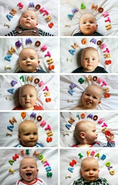 Приложение месяцы ребенку фото Keep track of your baby's growth through the first year! Monthly baby pictures, 