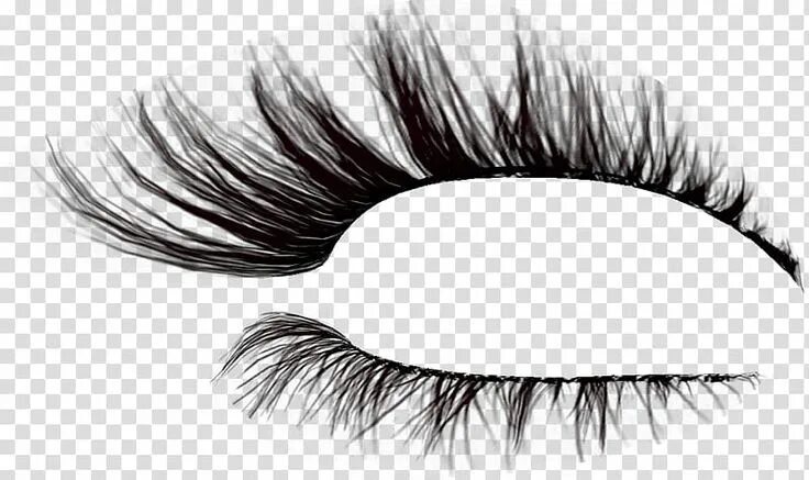 Приложение ресницы для фото Png Eyelashes (com imagens) Artes, Png