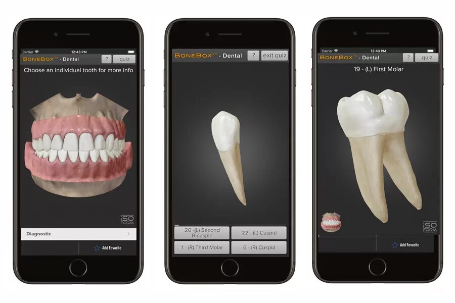 Приложение зубы на фото Обзор актуальных мобильных приложений для стоматологов