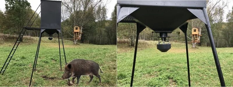 Приманка для кабанов своими руками Как приманить кабана к кормушке: привада, что любят кабаны, чем прикормить зимой