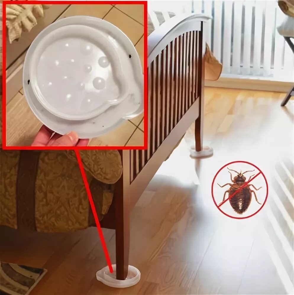 Приманка для клопов постельных своими руками Bed Bug Trap, Interceptor and Insect Monitor Control 4 Pack control temperature 