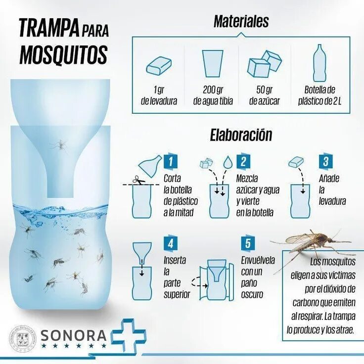 Приманка для комаров своими руками Trampa para mosquitos: agua + azúcar + levadura Mosquito trap, Mosquito, Repelle