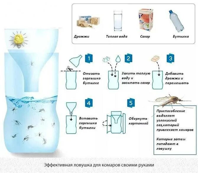 Приманка для комаров своими руками Как избавиться от комаров на дачном участке: лучшие способы!