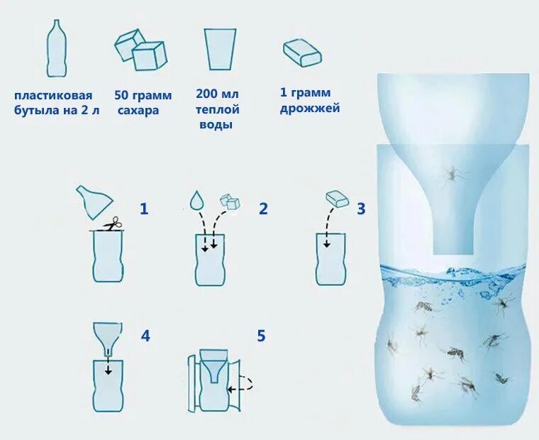 Приманка для комаров своими руками Народные волшебные средства от комаров и мошек Вырастим урожай вместе Дзен