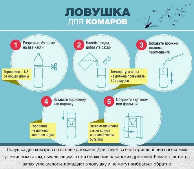 Приманка для комаров своими руками Изготовление приманки для комаров в домашних условиях - рецепты аттрактанта свои