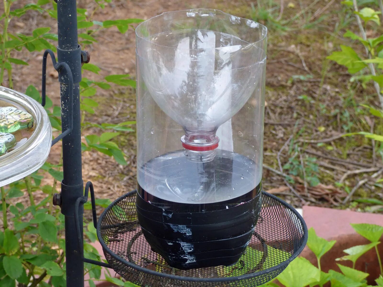 Приманка для ос своими руками DIY Wasp Trap Info: Do Homemade Wasp Traps Work Homemade wasp trap, Wasp traps, 