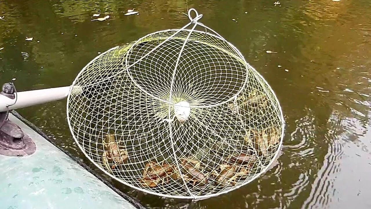 Приманка для раколовки своими руками ЛУЧШАЯ ПРИМАНКА на РАКА по ХОЛОДНОЙ ВОДЕ. Тест ЗИМНЕЙ РАКОЛОВКИ. ЛОВЛЯ РАКОВ РАК